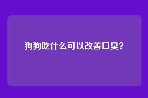 狗狗吃什么可以改善口臭？