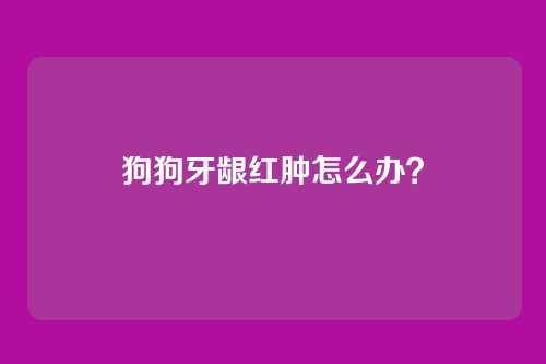 狗狗牙龈红肿怎么办？