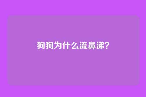 狗狗为什么流鼻涕？
