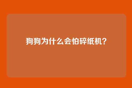 狗狗为什么会怕碎纸机？