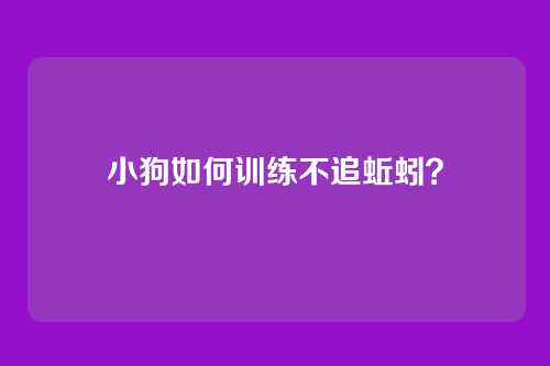 小狗如何训练不追蚯蚓?