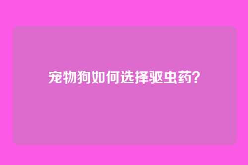 宠物狗如何选择驱虫药？