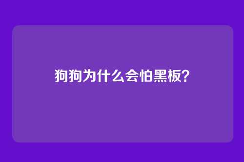 狗狗为什么会怕黑板?