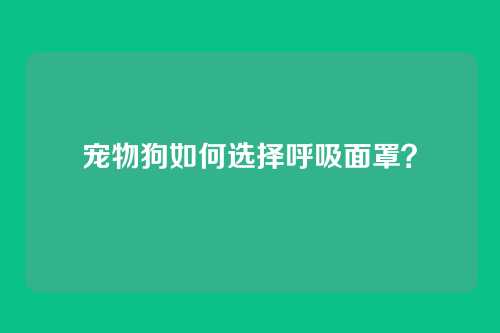 宠物狗如何选择呼吸面罩？