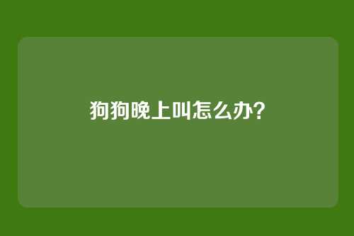 狗狗晚上叫怎么办?