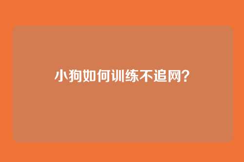 小狗如何训练不追网？