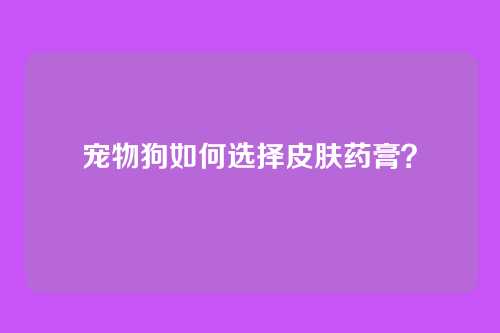 宠物狗如何选择皮肤药膏？