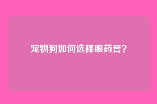 宠物狗如何选择眼药膏？