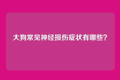 大狗常见神经损伤症状有哪些？