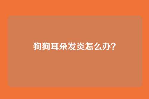 狗狗耳朵发炎怎么办?