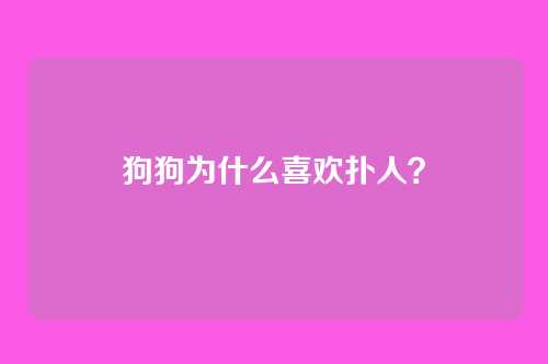 狗狗为什么喜欢扑人？