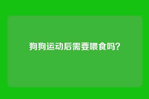 狗狗运动后需要喂食吗？