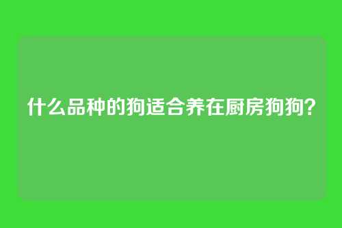 什么品种的狗适合养在厨房狗狗？