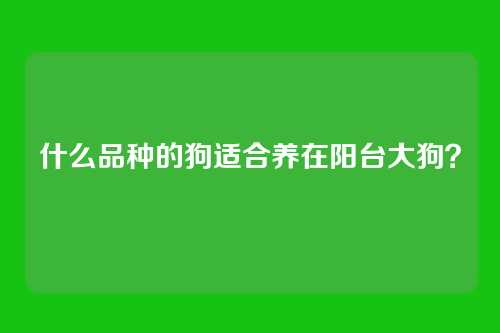 什么品种的狗适合养在阳台大狗?