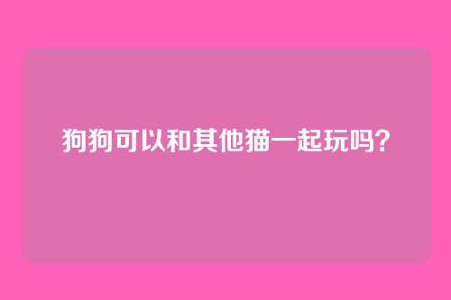 狗狗可以和其他猫一起玩吗？