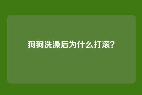 狗狗洗澡后为什么打滚？