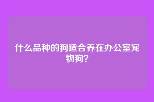 什么品种的狗适合养在办公室宠物狗?