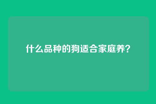 什么品种的狗适合家庭养？