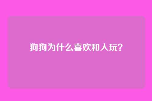 狗狗为什么喜欢和人玩？