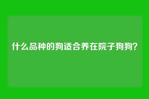 什么品种的狗适合养在院子狗狗?