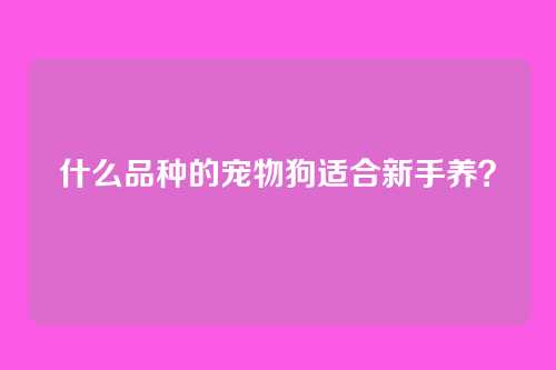什么品种的宠物狗适合新手养？
