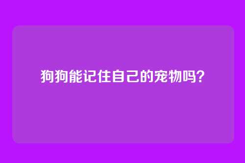 狗狗能记住自己的宠物吗？