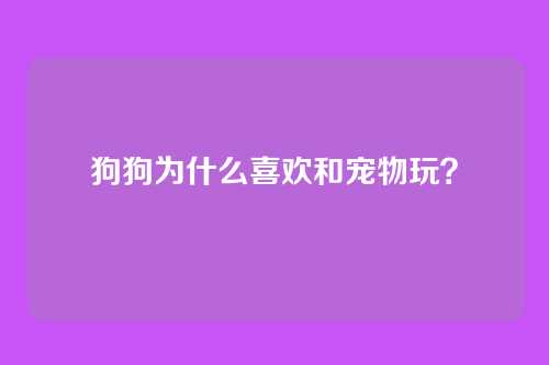 狗狗为什么喜欢和宠物玩？