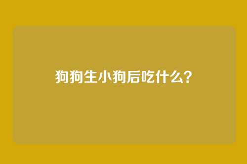 狗狗生小狗后吃什么？