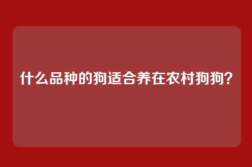什么品种的狗适合养在农村狗狗?