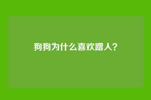 狗狗为什么喜欢蹭人？
