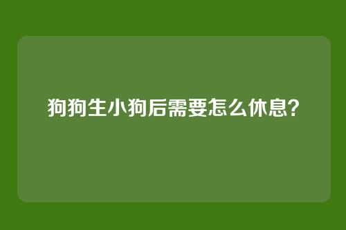 狗狗生小狗后需要怎么休息?