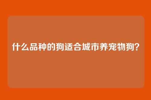 什么品种的狗适合城市养宠物狗？