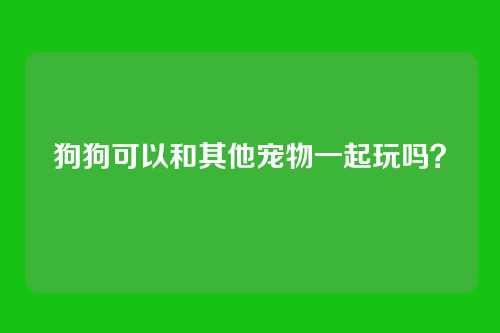 狗狗可以和其他宠物一起玩吗？