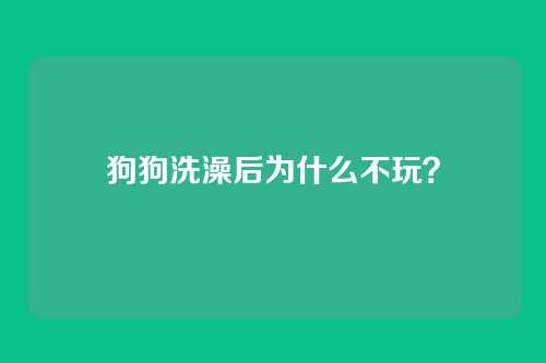 狗狗洗澡后为什么不玩？