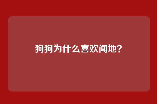 狗狗为什么喜欢闻地？