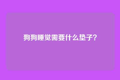 狗狗睡觉需要什么垫子？