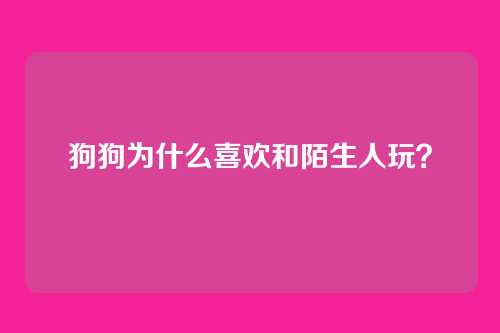 狗狗为什么喜欢和陌生人玩？