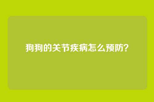 狗狗的关节疾病怎么预防？