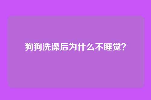 狗狗洗澡后为什么不睡觉？