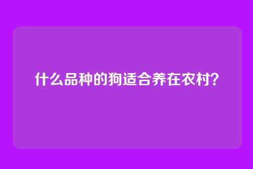 什么品种的狗适合养在农村?
