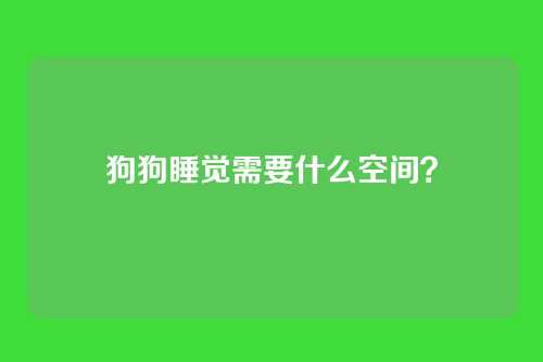 狗狗睡觉需要什么空间？