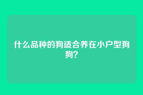 什么品种的狗适合养在小户型狗狗？