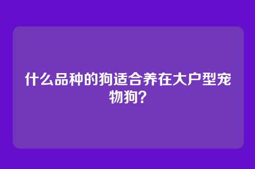 什么品种的狗适合养在大户型宠物狗?