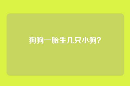 狗狗一胎生几只小狗？