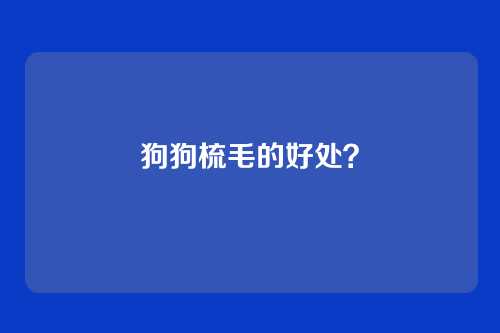 狗狗梳毛的好处？