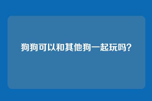 狗狗可以和其他狗一起玩吗？