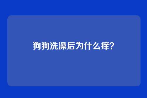 狗狗洗澡后为什么痒?