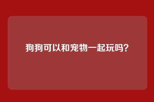 狗狗可以和宠物一起玩吗?