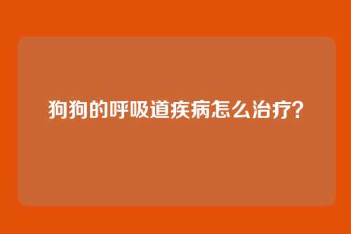 狗狗的呼吸道疾病怎么治疗？