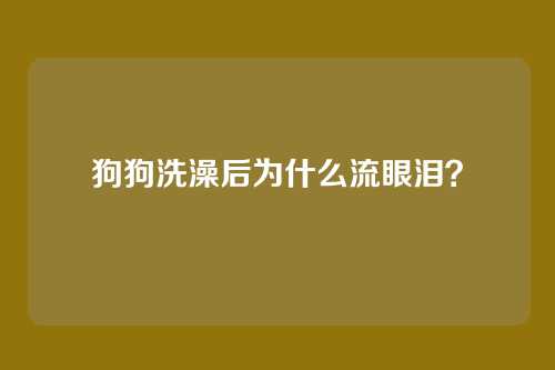 狗狗洗澡后为什么流眼泪？